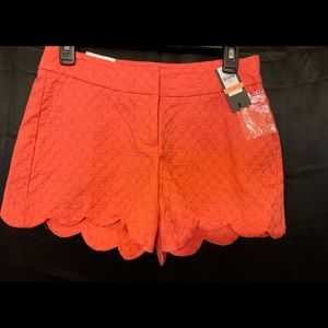 Crown & Ivy Shorts size 2 NWT